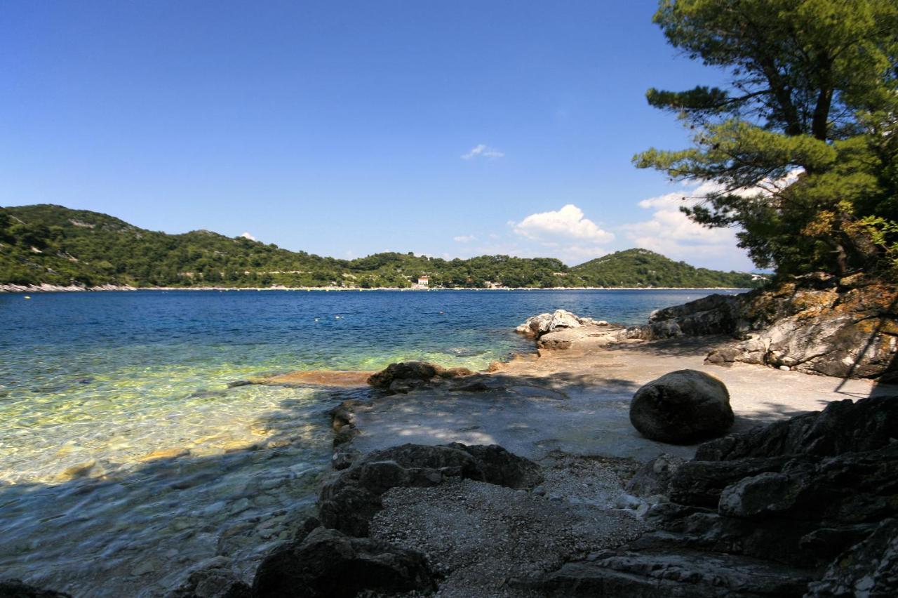 Apartments By The Sea Sobra, Mljet - 4908 Babino Polje Dış mekan fotoğraf