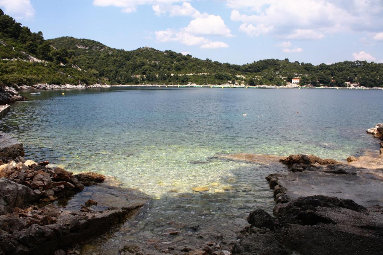 Apartments By The Sea Sobra, Mljet - 4908 Babino Polje Dış mekan fotoğraf